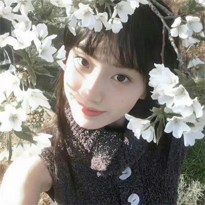 真爱至上国语